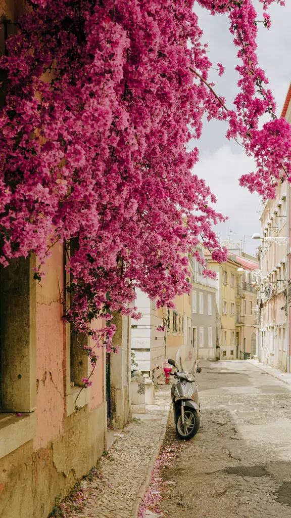 Lisbon — photo 10