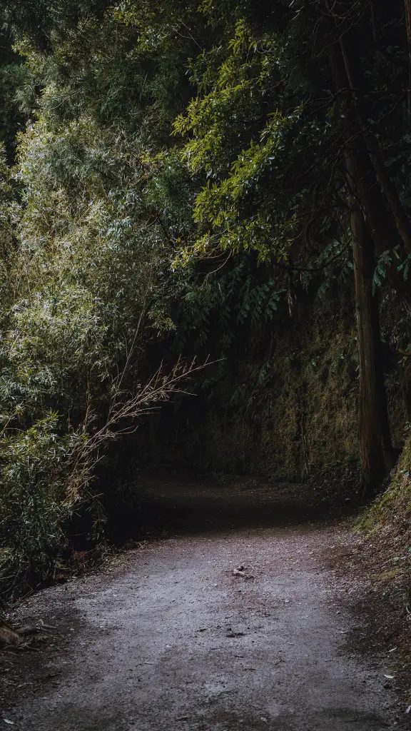 Portugal — photo 8