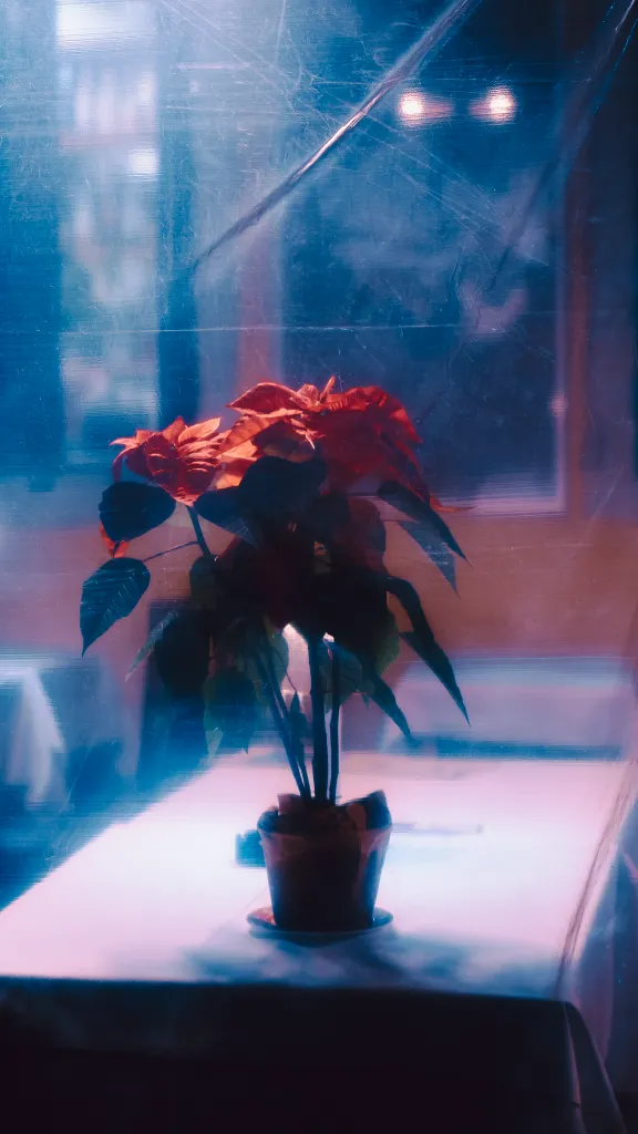 Europe — photo 3